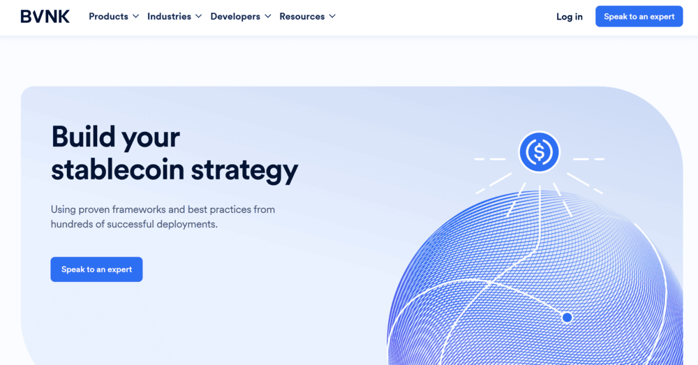 BVNK Stablecoin Payments Provider