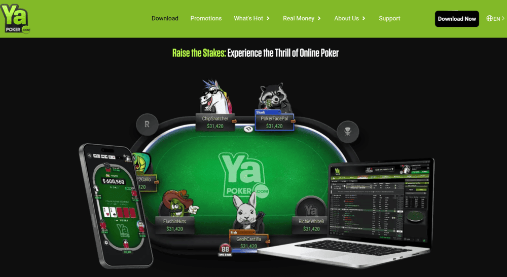 Ya Poker No KYC Poker Site