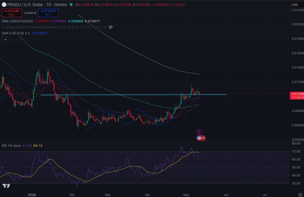 pengu price may 11