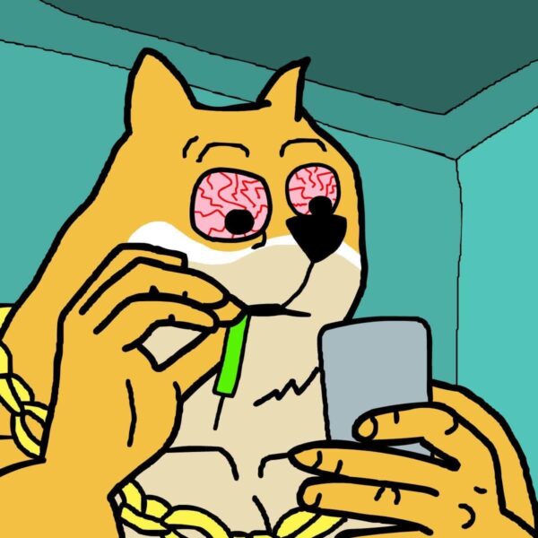 BUILDon’s 280% Jump Has Newcomers Asking What Could Be Next: Here’s Why Some Are Watching Maxi Doge