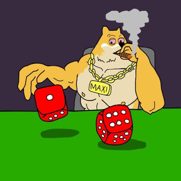 DOGE Price Sparking a New Meme Coin Wave? Here is How Beginners Can Navigate the Trend